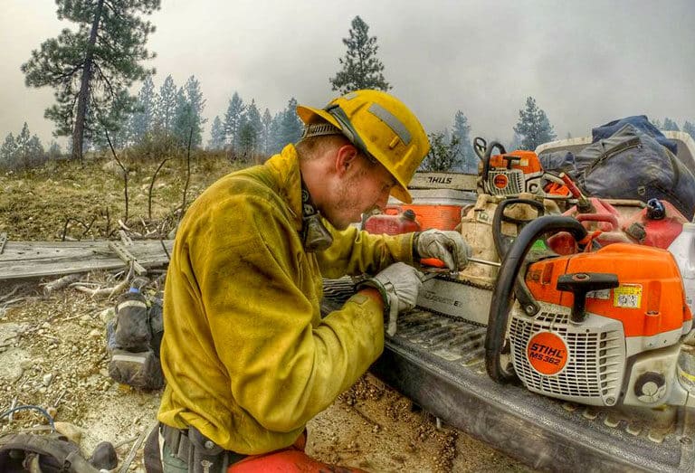 Miller Timber Services